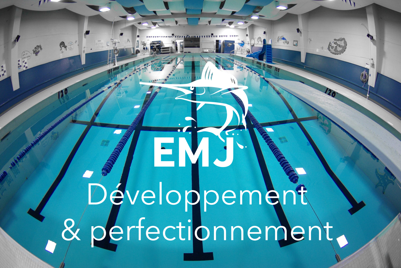 Développement et perfectionnement