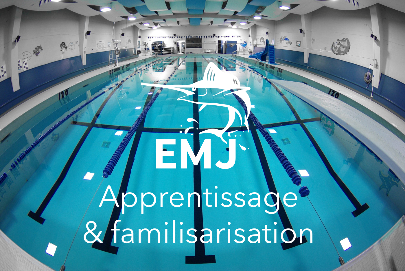 Apprentissage et familiarisation