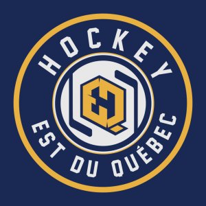 https://app2.sygaction.com/hockey-est-du-quebec